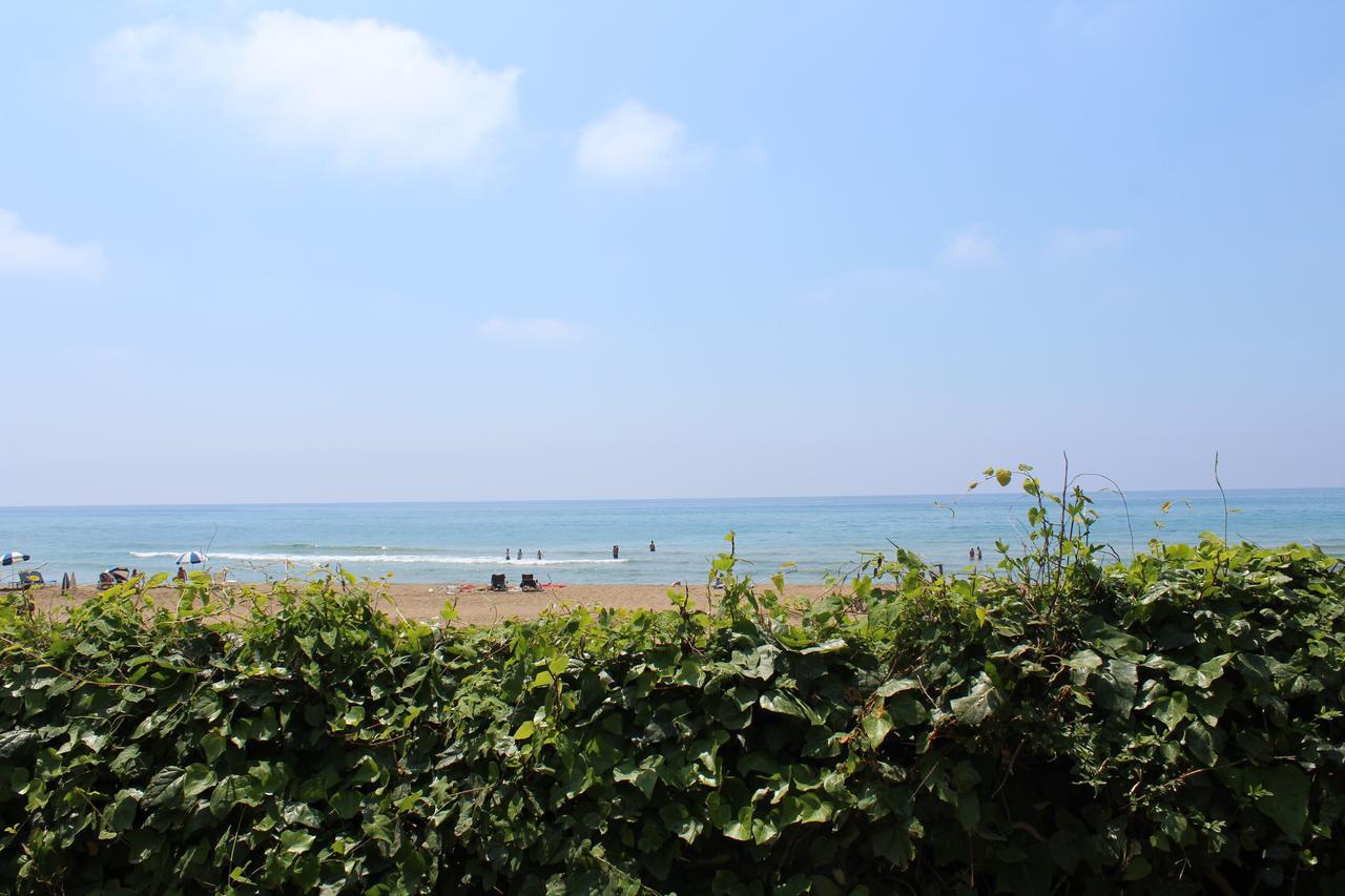 Glyfada Gorgona Apartments Екстер'єр фото